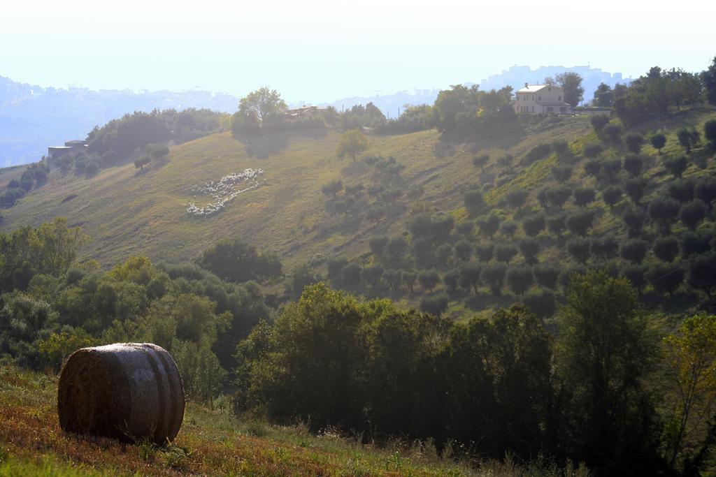מלון Montegiorgio Agriturismo Fara מראה חיצוני תמונה