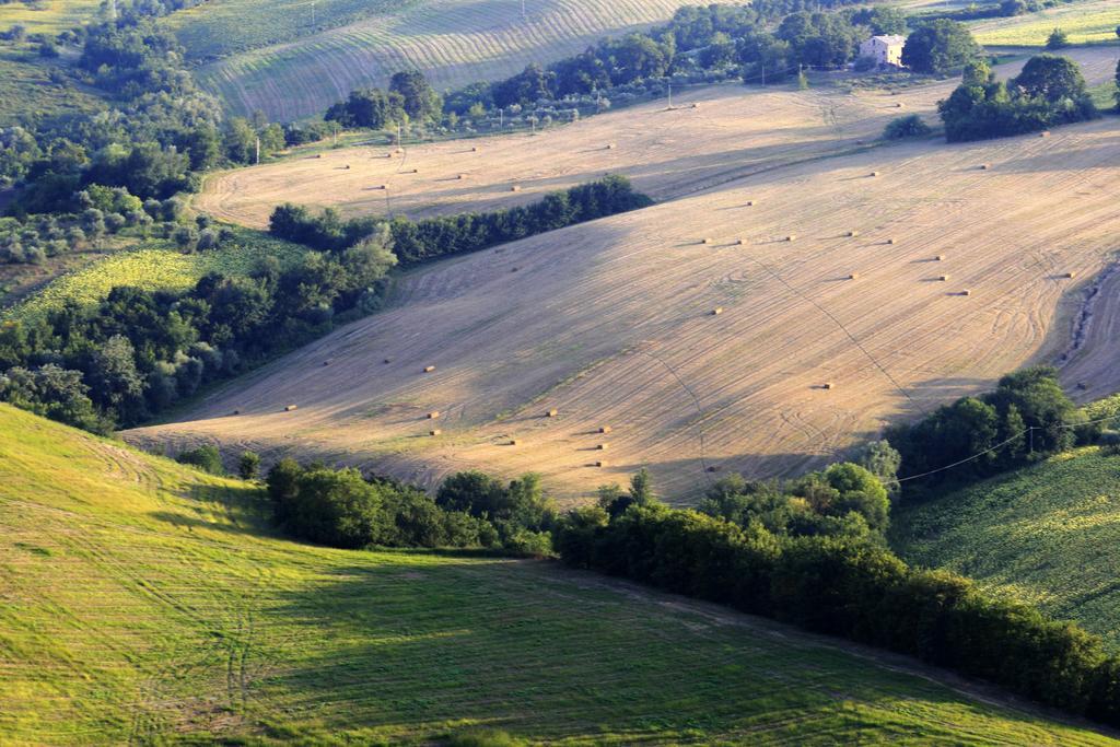 מלון Montegiorgio Agriturismo Fara מראה חיצוני תמונה